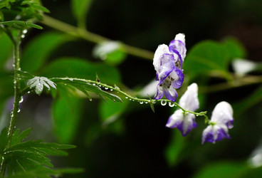 Similar image 22136061