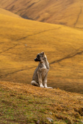 Similar image 22139720