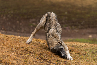 Similar image 22139722