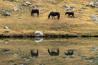 Similar image 22139725