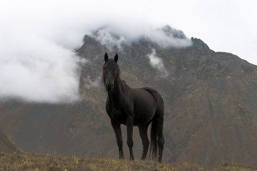 Similar image 22139727