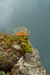 Similar image 22139729