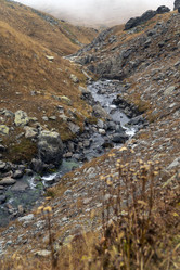 Similar image 22139736