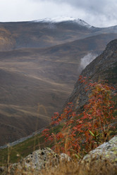 Similar image 22139739