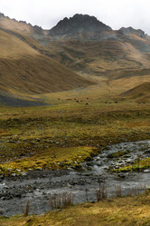 Similar image 22139740