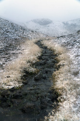 Similar image 22139752