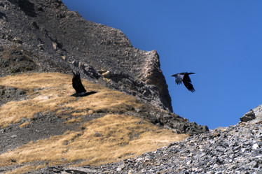 Similar image 22139758