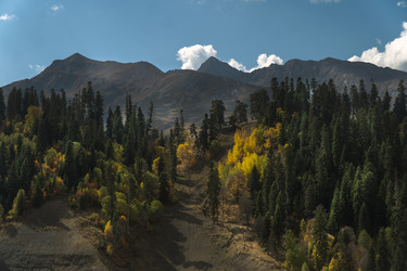 Similar image 22139759