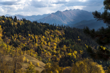 Similar image 22139760