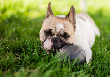 Similar image 22158938