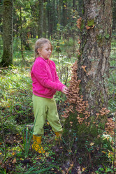 Similar image 22156193