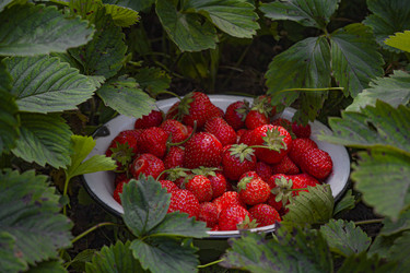 Similar image 22143979