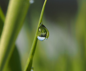 Similar image 22138779