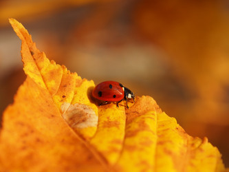 Similar image 22138780