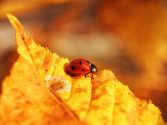 Similar image 22138783