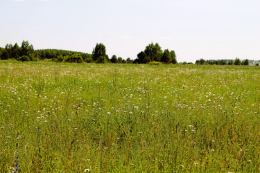 Similar image 22139013