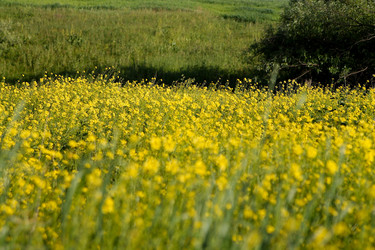 Similar image 22139015