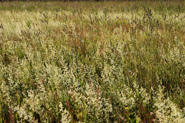 Similar image 22139016