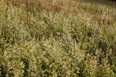 Similar image 22139017