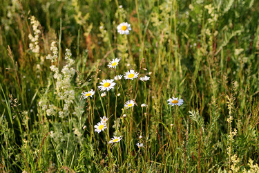 Similar image 22139018