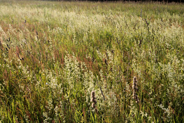 Similar image 22139019