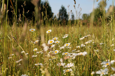 Similar image 22139020