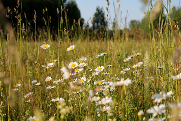 Similar image 22139021