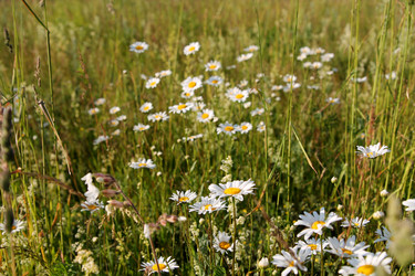 Similar image 22139022