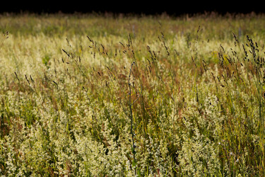 Similar image 22139023