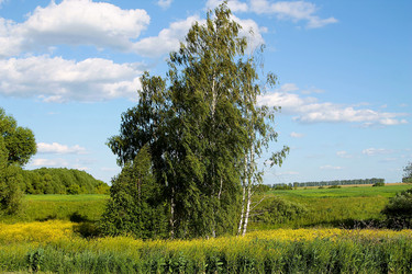 Similar image 22139024