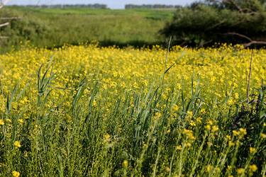 Similar image 22139025