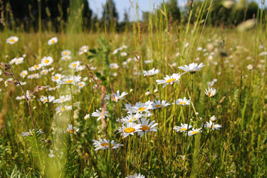 Similar image 22139026