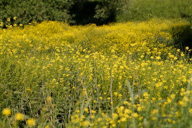 Similar image 22139028