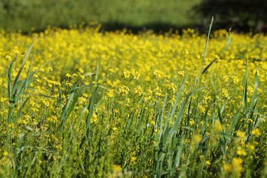 Similar image 22139029