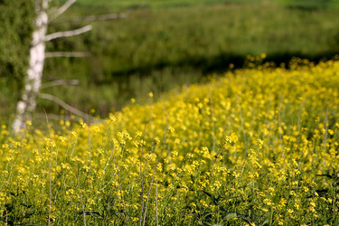 Similar image 22139030