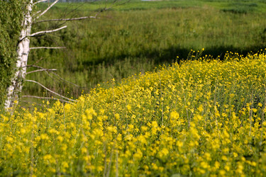 Similar image 22139031