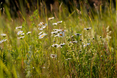 Similar image 22139033