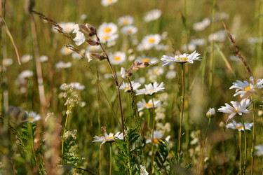 Similar image 22139035