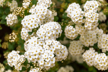 Similar image 22139519