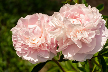 Similar image 22139520