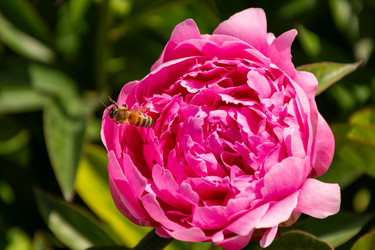 Similar image 22139521