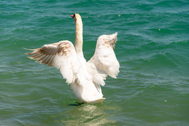 Similar image 22139524