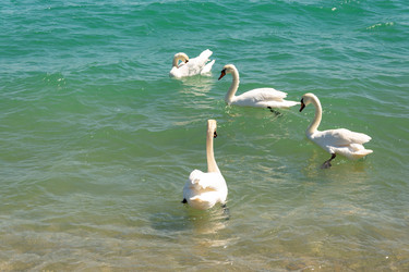 Similar image 22139526