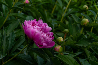 Similar image 22139530