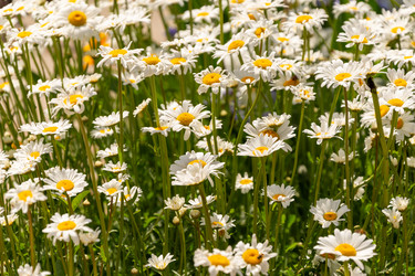 Similar image 22139532