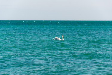 Similar image 22139533