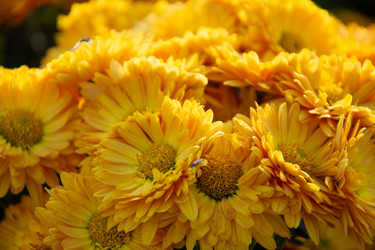 Similar image 22139534