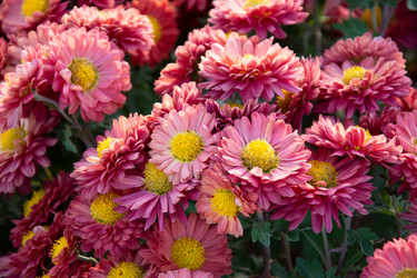 Similar image 22139535