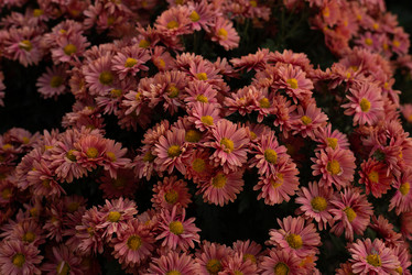 Similar image 22139536