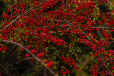 Similar image 22139537